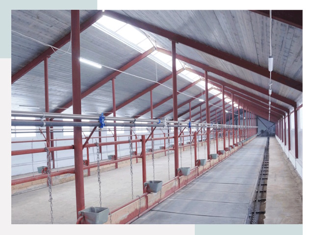 Строительство коровников в Вичуге от 610 руб.