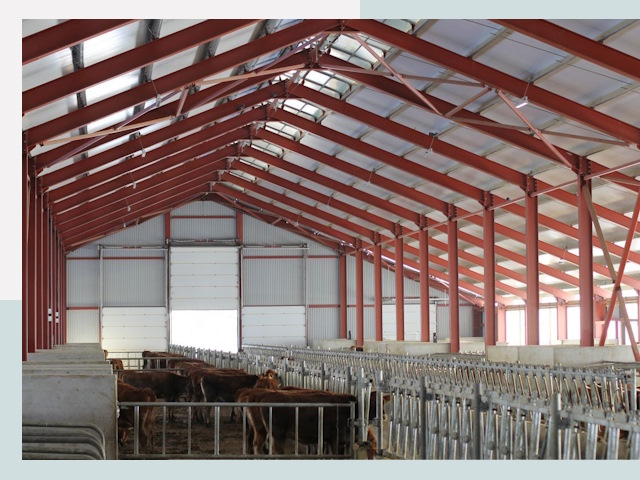 Строительство коровников в Вичуге